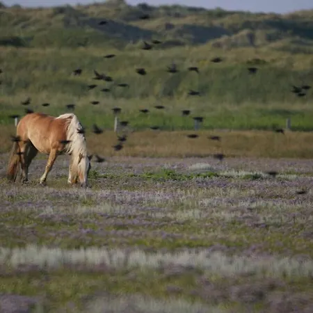 Strandstrasse Peper Comfortable Holiday home Juist